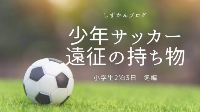 小学生サッカー少年用の補食 食欲の落ちる夏のおススメはこれ しずかんブログ